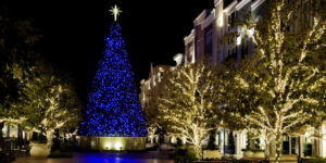 Tried-and-Tested Tips for Effortless Installation of Commercial Christmas Light